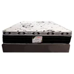 مرتبه الدورا مون ٢٨سم