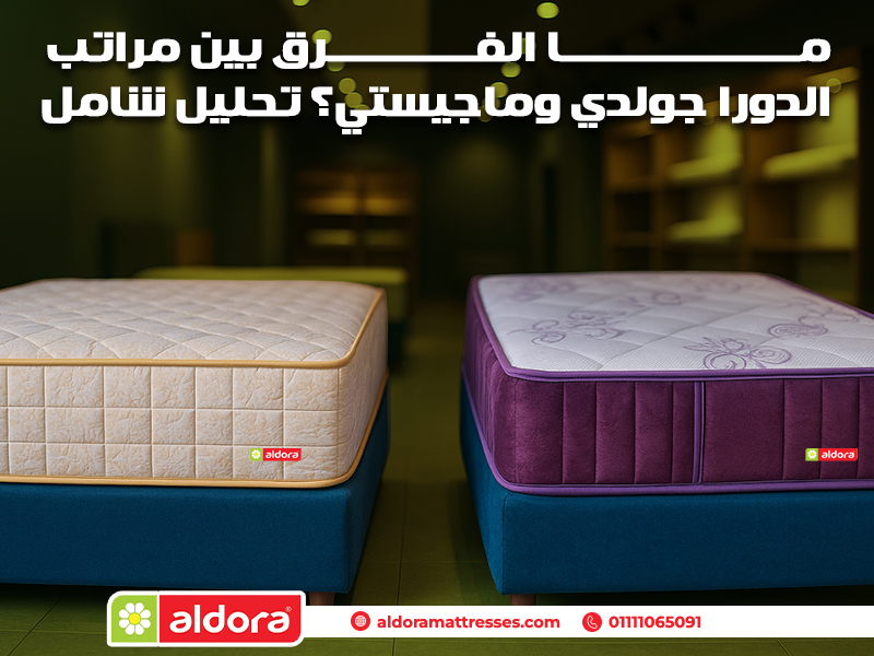 ما الفرق بين مراتب الدورا جولدي وماجيستي؟ تحليل شامل
