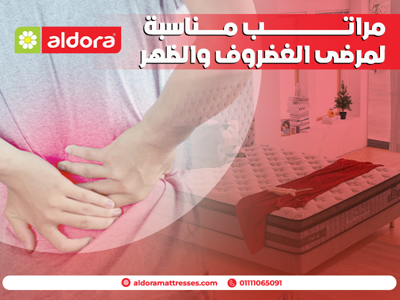 مراتب-مناسبة-لمرضى-الغضروف-والظهر